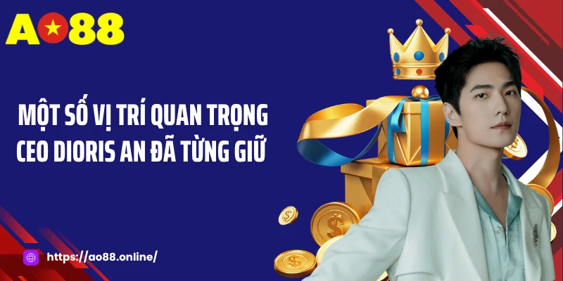 Một số vị trí quan trọng CEO Dioris An đã từng giữ 