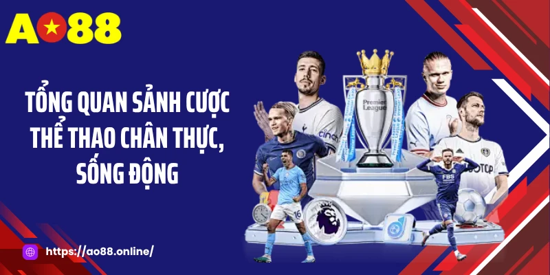 Tổng quan sảnh cược thể thao chân thực, sống động